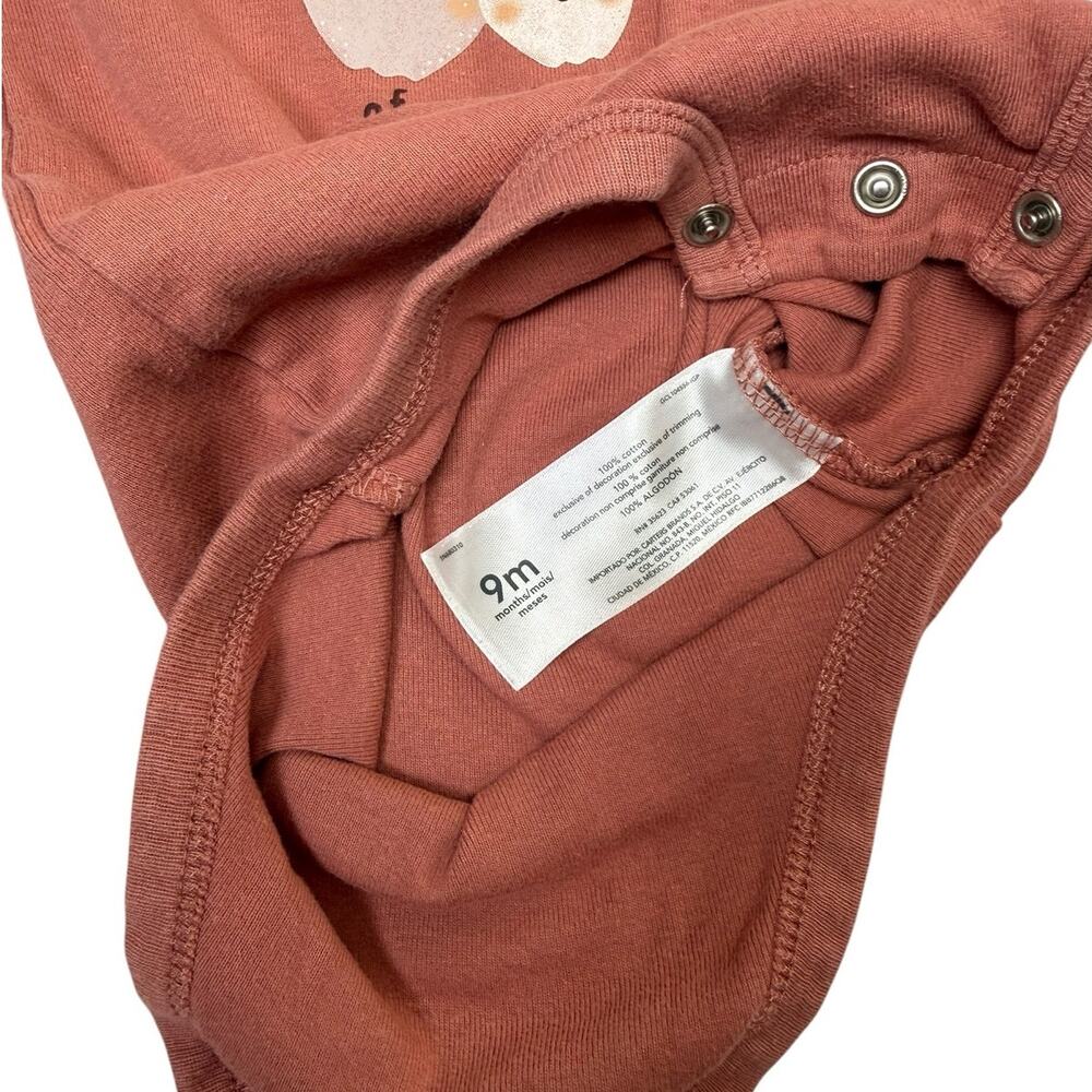Carter's Bodysuit Bundle Baby Girl Apples Brown 9 Months - Picture 9 of 9